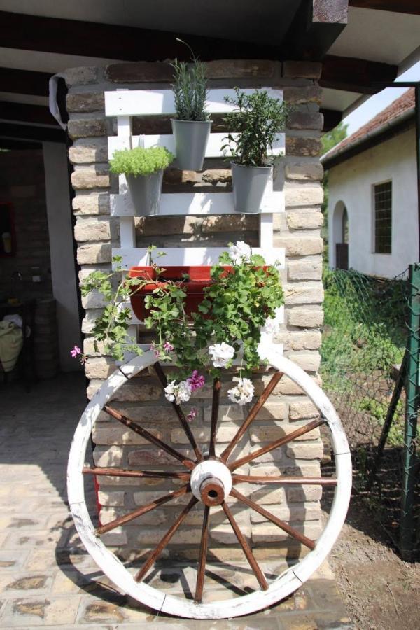 Palic Vila Masa Pr Emina Stipancevic Buitenkant foto