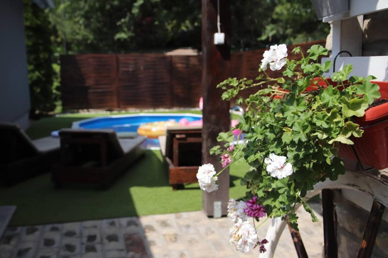 Palic Vila Masa Pr Emina Stipancevic Buitenkant foto