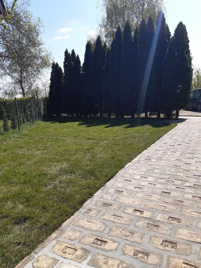 Palic Vila Masa Pr Emina Stipancevic Buitenkant foto